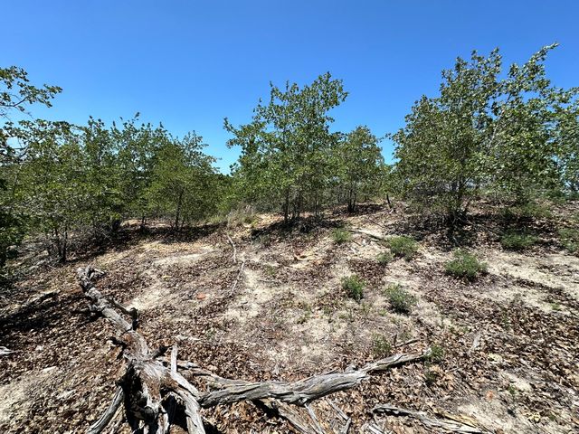 TBD Manawianui DR, Bastrop, TX 78602