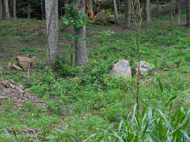 7 Cave Creek Rd, Falls Of Rough, KY 40119