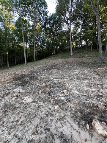 7 Cave Creek Rd, Falls Of Rough, KY 40119