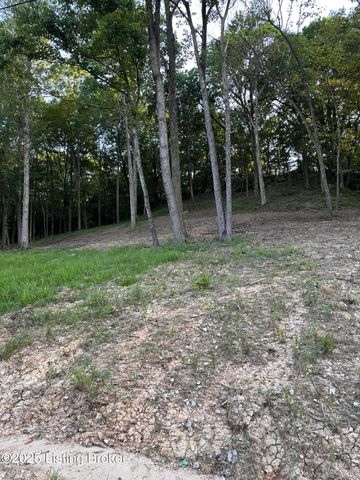 7 Cave Creek Rd, Falls Of Rough, KY 40119