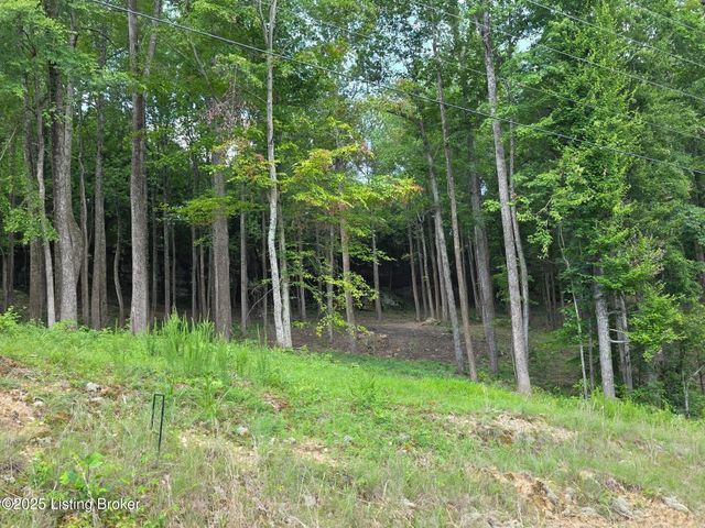 7 Cave Creek Rd, Falls Of Rough, KY 40119