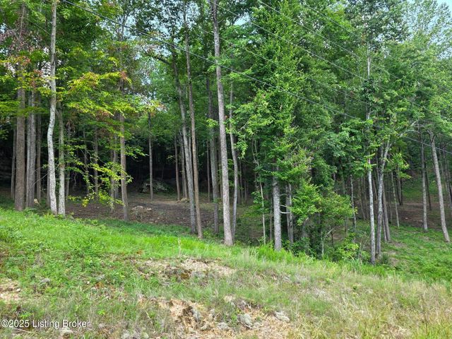 7 Cave Creek Rd, Falls Of Rough, KY 40119