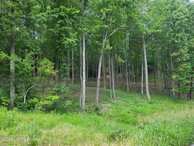 7 Cave Creek Rd, Falls Of Rough, KY 40119