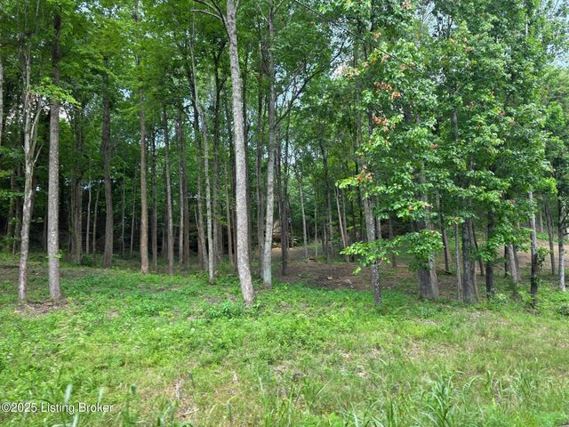 7 Cave Creek Rd, Falls Of Rough, KY 40119