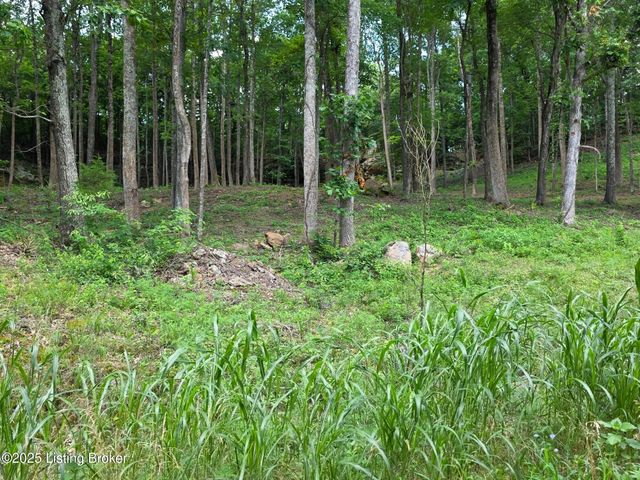 7 Cave Creek Rd, Falls Of Rough, KY 40119