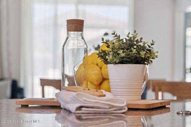 2824 Neverland Drive, New Smyrna Beach, FL 32168