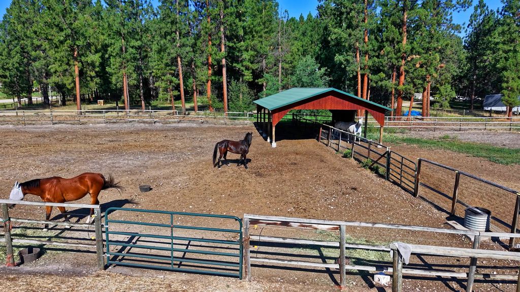 4354 Carolin Lane, Florence, MT 59833 photo 59