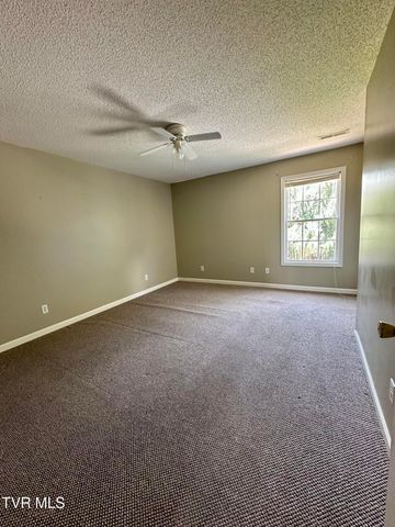 41 Tulip Grove Circle 4, Bristol, TN 37620