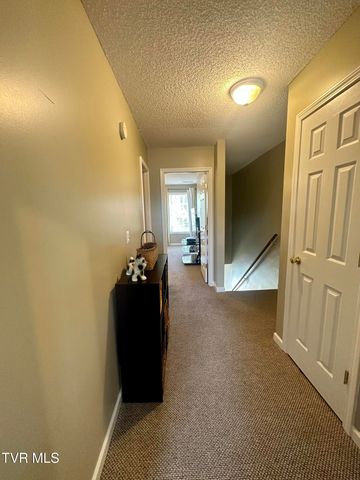 41 Tulip Grove Circle 4, Bristol, TN 37620