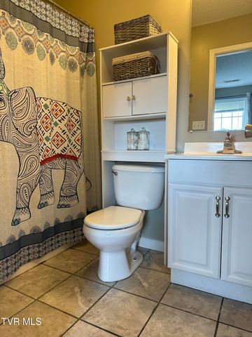 41 Tulip Grove Circle 4, Bristol, TN 37620