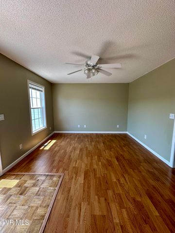 41 Tulip Grove Circle 4, Bristol, TN 37620