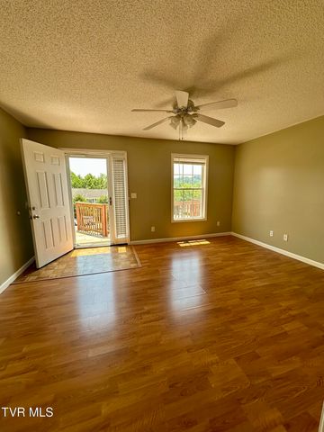 41 Tulip Grove Circle 4, Bristol, TN 37620