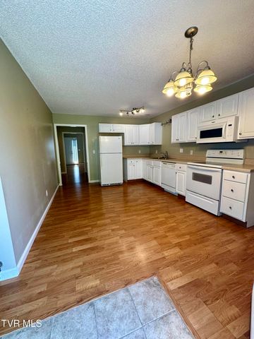 41 Tulip Grove Circle 4, Bristol, TN 37620