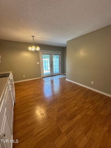 41 Tulip Grove Circle 4, Bristol, TN 37620