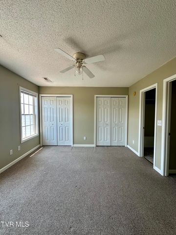 41 Tulip Grove Circle 4, Bristol, TN 37620