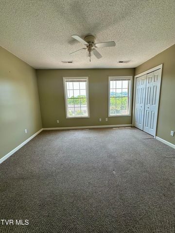 41 Tulip Grove Circle 4, Bristol, TN 37620