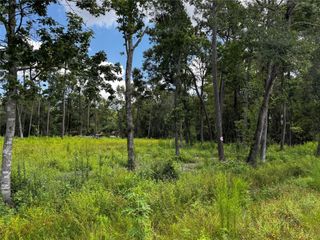 11855 Magnolia Bend Dr, Conroe, TX 77302