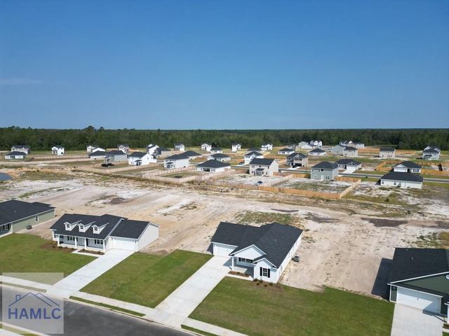 166 Freshwater Lane, Ludowici, GA 31316