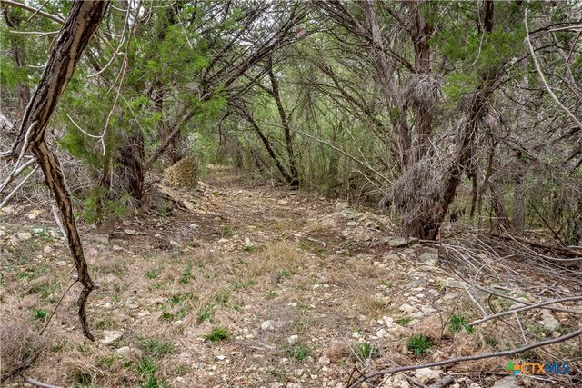250 Mail Route Road, Fischer, TX 78623