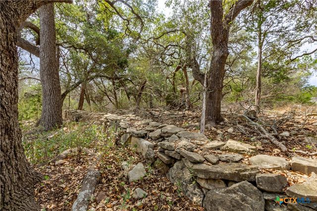 250 Mail Route Road, Fischer, TX 78623