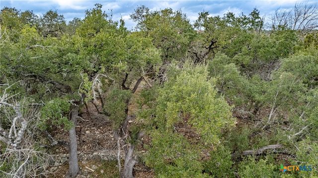 250 Mail Route Road, Fischer, TX 78623
