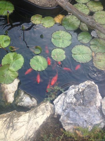 4 Abbington Place, Northport, NY 11768