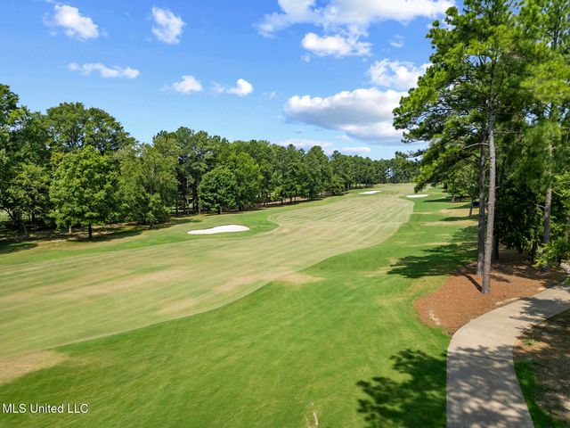111 Edenberg Bend, Madison, MS 39110