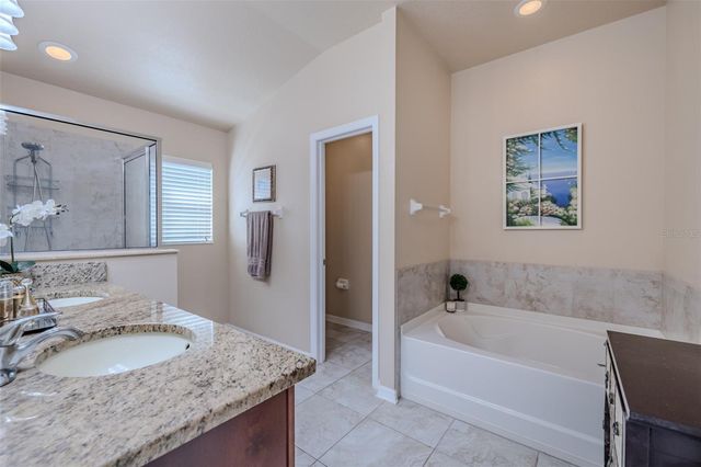 6728 WILD ELM COURT, Wesley Chapel, FL 33545