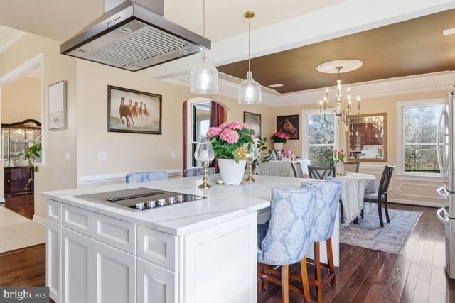 23333 FOUR CHIMNEYS LN, Middleburg, VA 20117