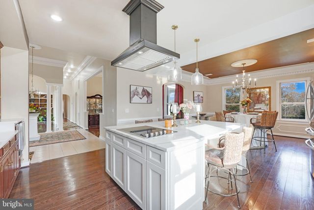 23333 FOUR CHIMNEYS LN, Middleburg, VA 20117