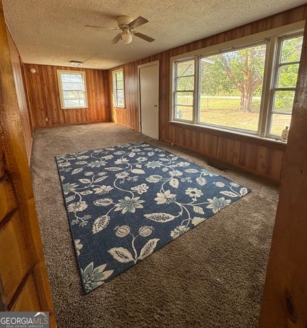 363 W Brazell Street, Reidsville, GA 30453