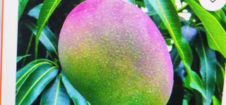 2829 NW 9th Place, Fort Lauderdale, FL 33311