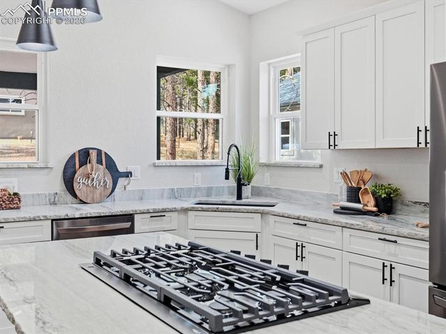 1301 Stone Ridge Drive, Woodland Park, CO 80863