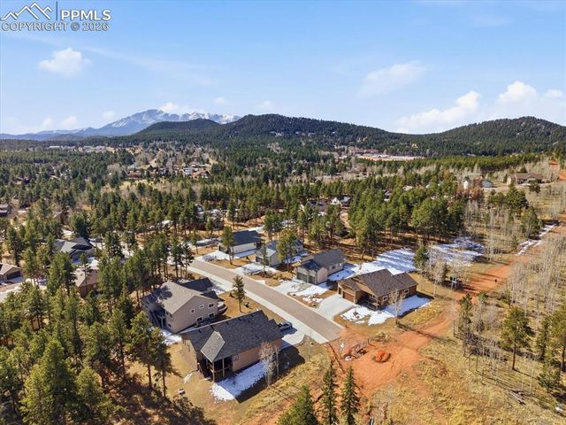 1301 Stone Ridge Drive, Woodland Park, CO 80863