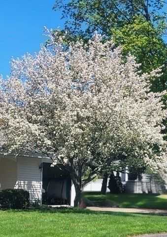 12 Tulane Rd, Danvers, MA 01923