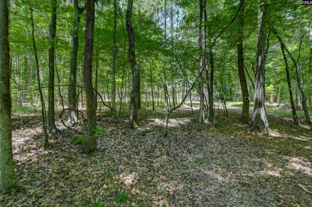317 Horse Cove Road, Gilbert, SC 29054