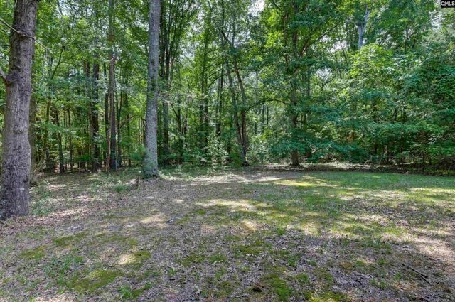 317 Horse Cove Road, Gilbert, SC 29054