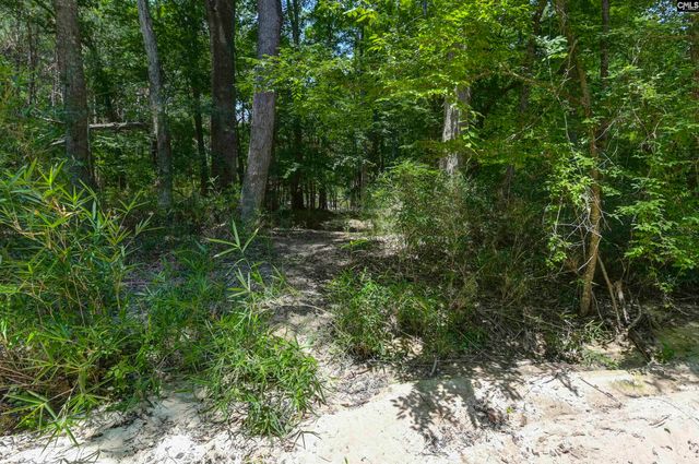 317 Horse Cove Road, Gilbert, SC 29054