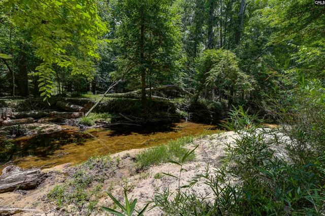 317 Horse Cove Road, Gilbert, SC 29054