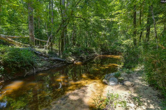 317 Horse Cove Road, Gilbert, SC 29054