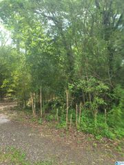 319 ROOSEVELT AVENUE, Birmingham, AL 35214