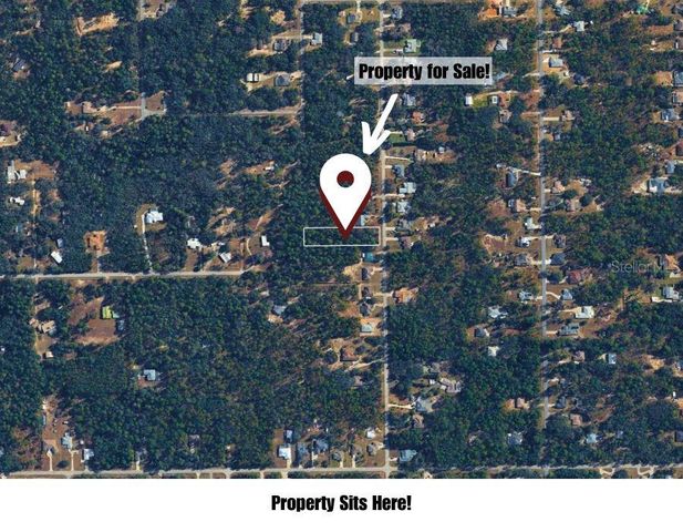 1567 E CLEVELAND STREET, Hernando, FL 34442