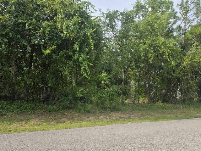 1567 E CLEVELAND STREET, Hernando, FL 34442