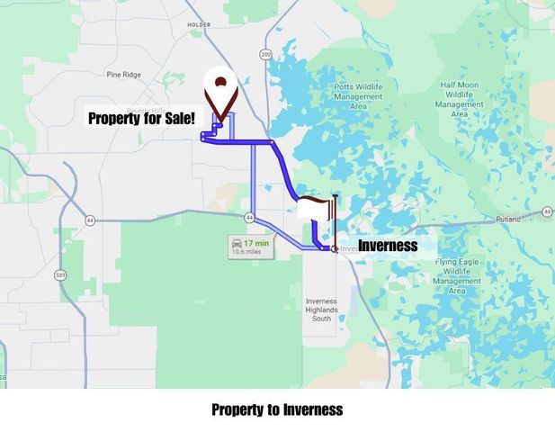 1567 E CLEVELAND STREET, Hernando, FL 34442