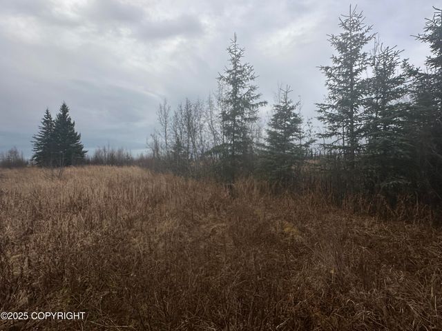 002 Wells Street, Ninilchik, AK 99639