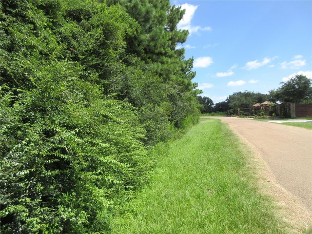 00 Thistle Down Spur Road, Cypress, TX 77429