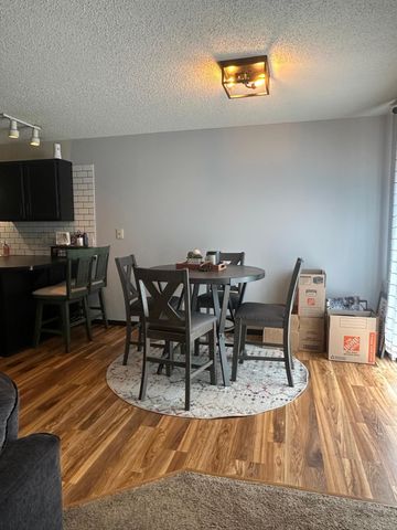 11036 Hanson Boulevard NW 20, Coon Rapids, MN 55433