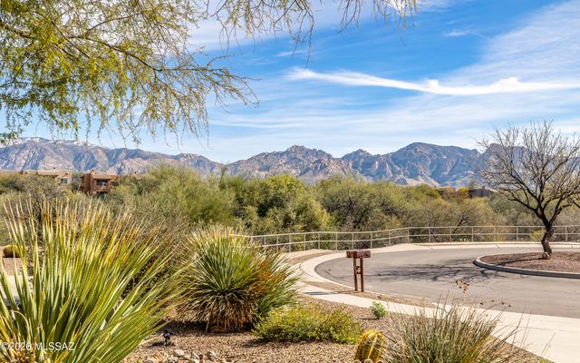 13423 N Regulation Drive, Oro Valley, AZ 85755