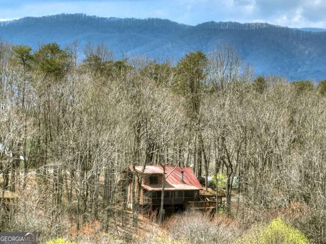 1113 Cherry Lake Drive, Cherry Log, GA 30522