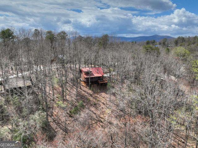 1113 Cherry Lake Drive, Cherry Log, GA 30522